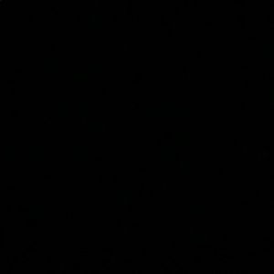 Meet your Posher, Xavier